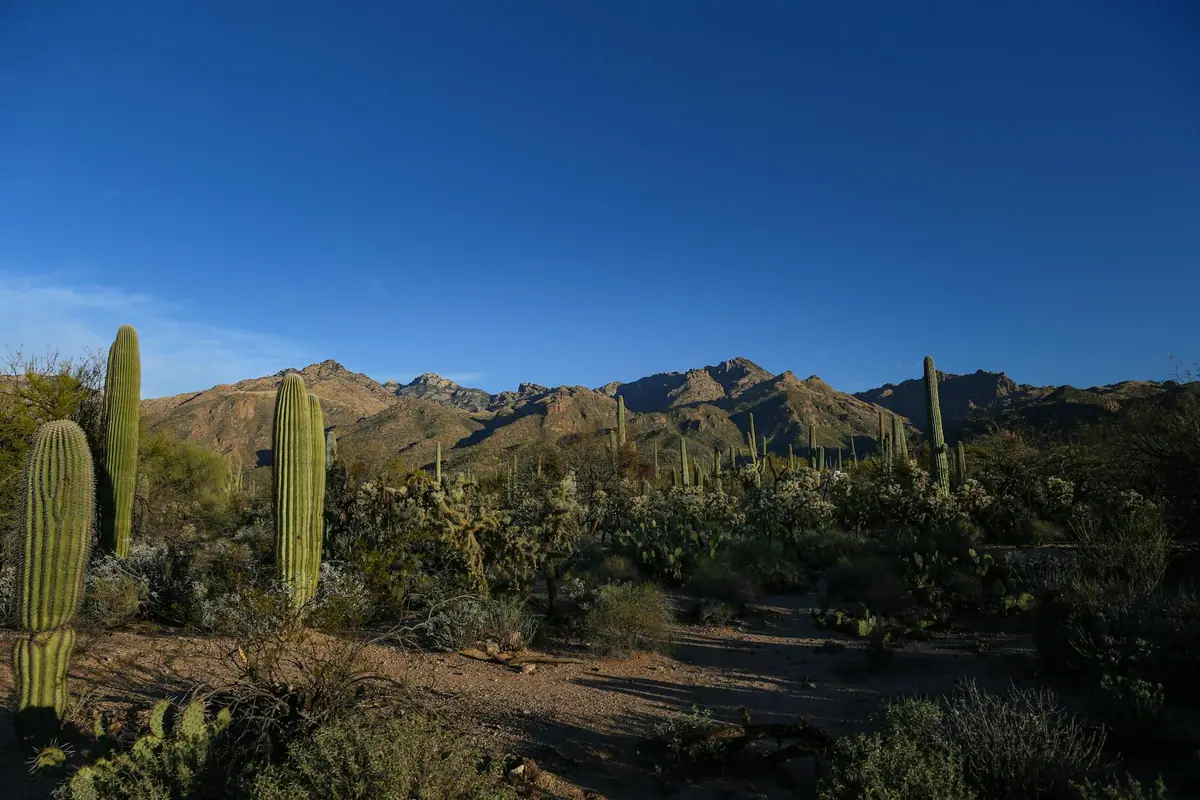 Tucson, AZ